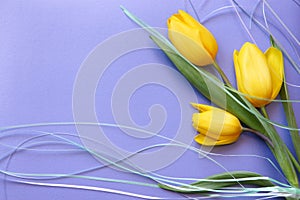 Tulips Romantic Card - Stock Photo