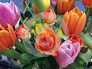Tulips and roses in a beautiful bouquet