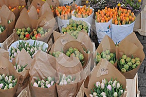 Tulips sale on easter sunday in Copenhagen Denamrk