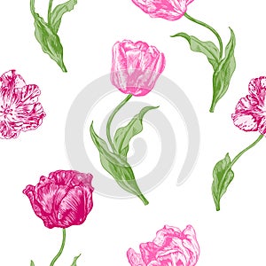 Tulips Seamless Pattern