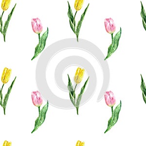 Tulips seamless pattern. Watercolor spring botanical background. Hand painted illustration