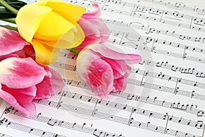 Tulips on the Sheet Music