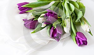 Tulips on silk Valentine day