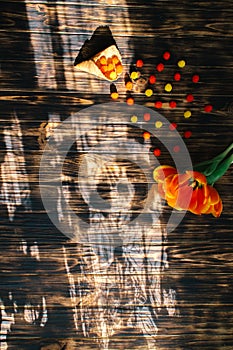 Tulips with sweets in a waffle horn on a wooden background