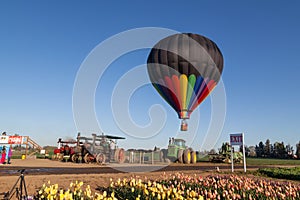 Tulips, Tractors, and a Hot Air Balloon