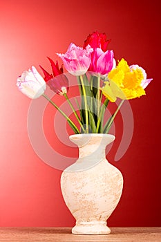 Tulips in vase