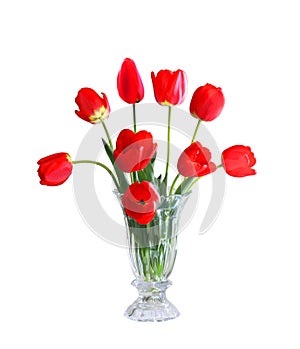 Tulips in a vase