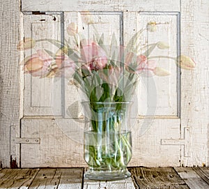 Tulips in vase