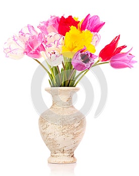 Tulips in vase isolated