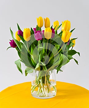 Tulips in vase Valentine day