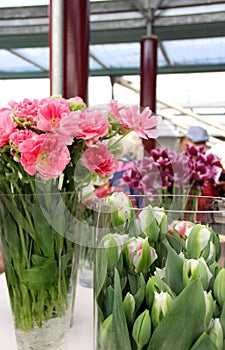 Tulips and vases