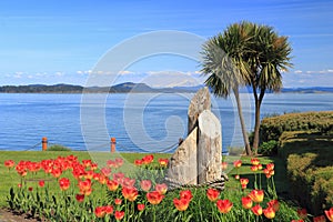 Tulips on Spring Day at Eastview Waterfront Park, Sidney, Vancouver Island, British Columbia, Canada