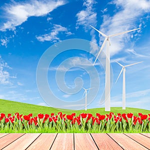 Tulips with wind turbine on green grass field against blue sky
