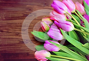 Tulips on a wooden background