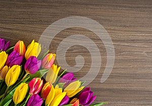 Tulips on a wooden background, Spring Flowers