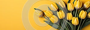 tulips on yellow background, copy space Card for Mothers day, 8 March, Happy Easter. Waiting for spring