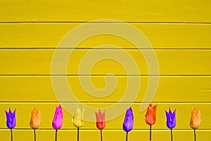 Tulips on yellow painted wood background