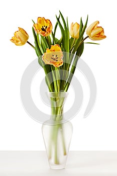 Tulips Yellow Red Orange Tulip Flowers In Vase