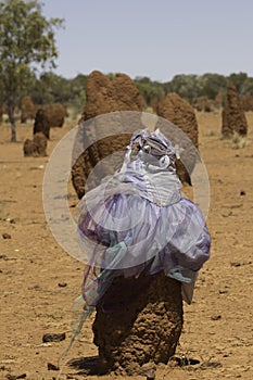 Tulle dress adorns termite mound with termite mounds, trees and sky in background