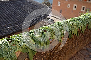 Tulou: the ancient residential building of a minority called hakka