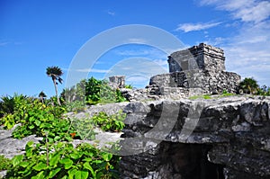 Tulum archeological site, a pre-columbian Mayan City, Tulum, Quintana Roo, Yucatan, Mexico, Central America. photo
