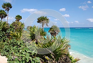 Tulum beach, Carribean sea