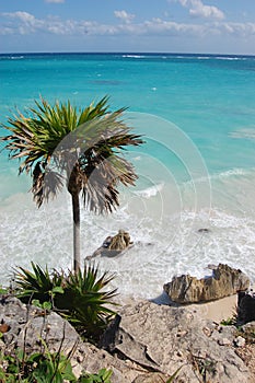 Tulum beach, Carribean sea