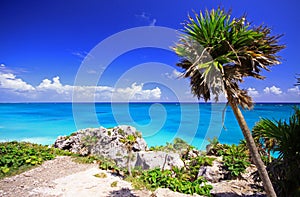 Tulum beach mexico