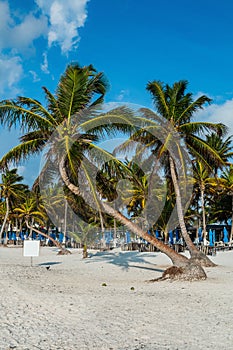 Tulum Beach at Penisula Yucatan in Mexico.