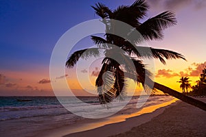 Tulum beach sunset palm tree Riviera Maya