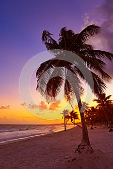 Tulum beach sunset palm tree Riviera Maya