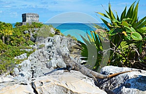 Tulum Maya ruins, Mexico