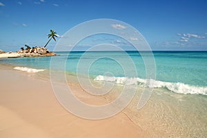 Tulum mayan riviera tropical beach palm trees