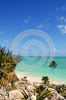 Tulum mayan riviera tropical beach palm trees