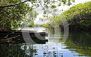 Cenote Encantado swimming area photo