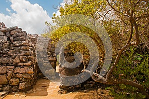 Tulum, Riviera Maya, Yucatan, Mexico: The entrance to the temple. Ruins of the destroyed ancient Mayan city