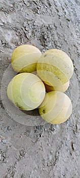 Tumba fruits yellow colour in round shape. photo