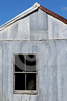 Tumble Down Old Shack