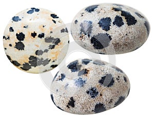 Tumbled aplite (dalmatian jasper) gem stones