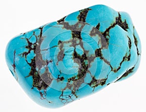 tumbled blue howlite (turquenite) gem on white