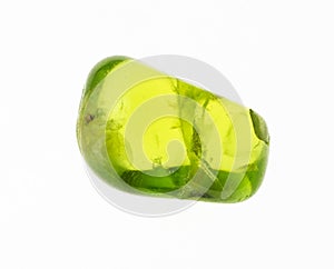 tumbled olivine (chrysolite, peridot) gem on white