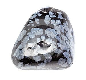 tumbled Snowflake Obsidian gemstone isolated