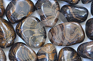 Tumbled Stromatolite fossile Rocks