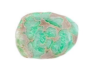 tumbled Variscite gemstone isolated on white photo