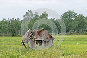 Tumbledown barn on a field