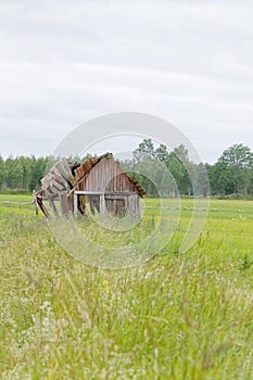 Tumbledown barn on a field