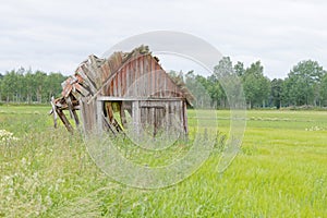 Tumbledown barn on a field