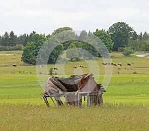 Tumbledown barn on a field