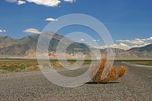 Tumbleweed