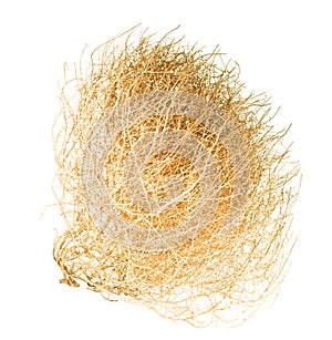 Tumbleweed
